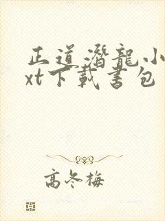 正道潜龙小说txt下载书包网