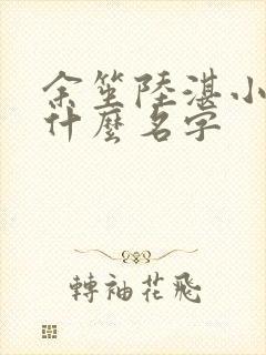 余笙陆湛小说叫什么名字