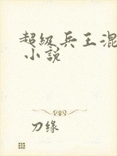 超级兵王混都市 小说