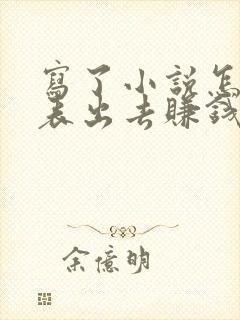 写了小说怎么发表出去赚钱封面