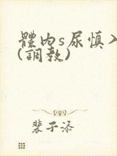 体内s尿慎入h(调教)