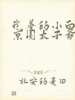 我养的小白脸是京圈太子爷全集