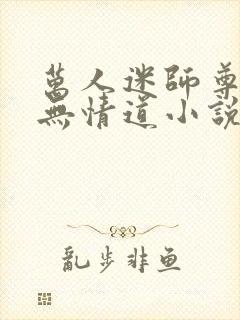 万人迷师尊他修无情道小说免费阅读封面