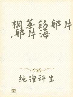 桐华的那片星空,那片海