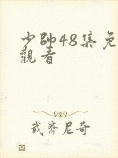 少帅48集免费观看封面