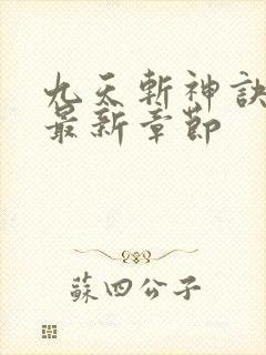 九天斩神诀林辰最新章节封面