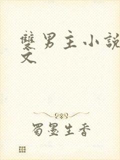 双男主小说生子文封面