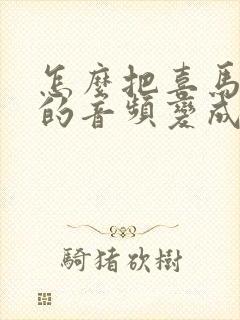 怎么把喜马拉雅的音频变成本地音乐