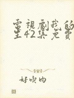 电视剧我的后半生42集免费观看封面