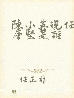 陈小英现任丈夫唐坚是谁