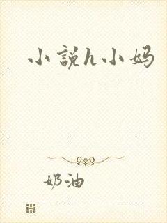 小说h小妈封面