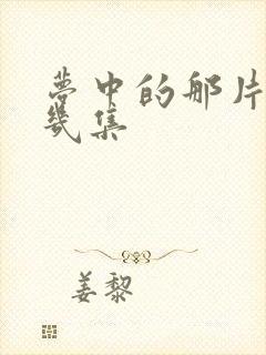 梦中的那片海有几集