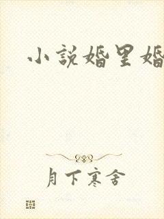 小说婚里婚外