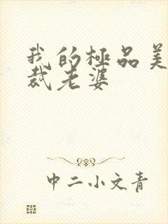 我的极品美女总裁老婆