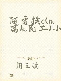 随处挨c(n,高h,民工)小说