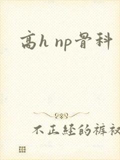 高h np骨科