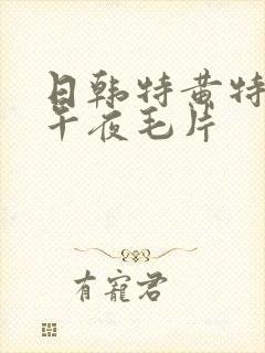 日韩特黄特刺激午夜毛片