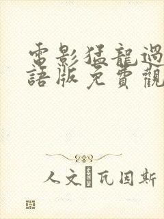 电影猛龙过江国语版免费观看