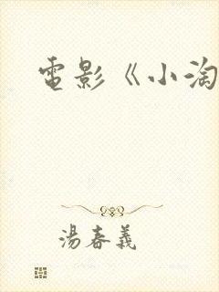 电影《小淘气》封面