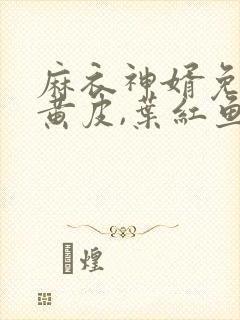麻衣神婿免费陈黄皮,叶红鱼