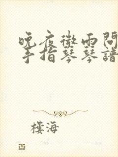 晚夜微雨问海棠手指琴琴谱