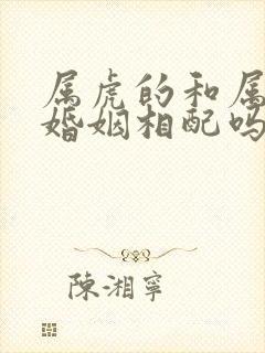 属虎的和属龙的婚姻相配吗