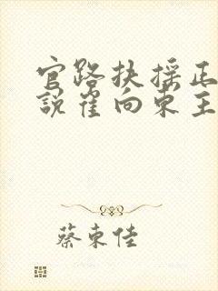 官路扶摇正版小说崔向东主封面