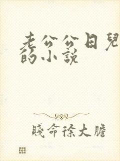 老公公日儿媳妇的小说封面