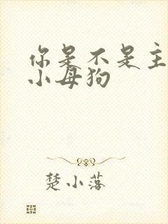 你是不是主人的小母狗