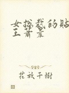 女总裁的贴身兵王萧晨