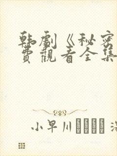 韩剧《秘密》免费观看全集国语版封面