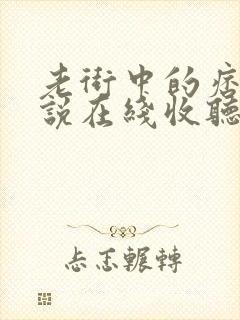 老街中的痞子小说在线收听