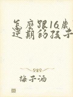 怎么跟16岁叛逆期的孩子相处