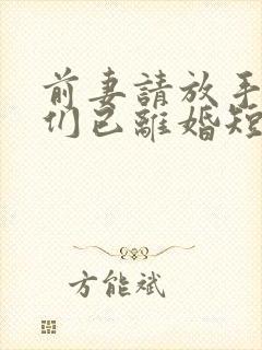 前妻请放手,我们已离婚短剧