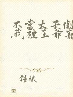 不当太子侧妃后,我被王爷宠成宝txt百