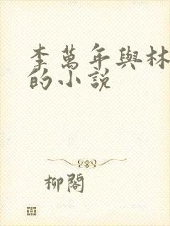 李万年与林婉仙的小说封面