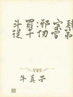 斗罗:邪宗肆虐从千仞雪第二部开始封面