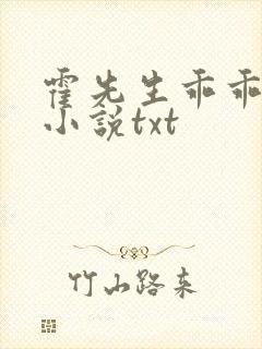 霍先生乖乖宠我小说txt