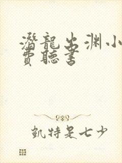 潜龙出渊小说免费听书