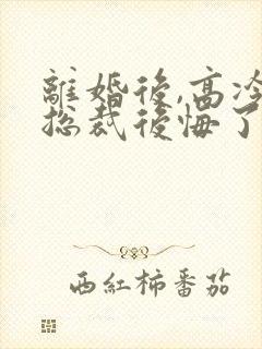 离婚后,高冷女总裁后悔了 在线小说封面