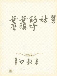 爸爸的姑舅我怎么称呼封面