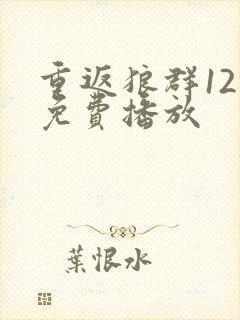 重返狼群12集免费播放