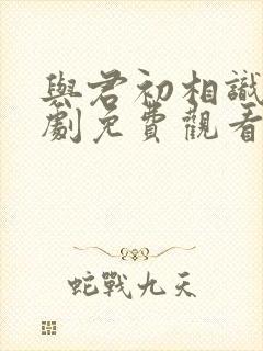 与君初相识电视剧免费观看完整封面