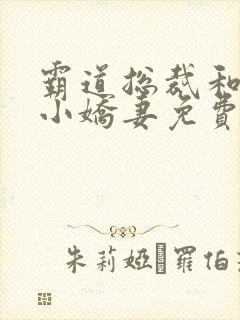 霸道总裁和他的小娇妻免费阅读