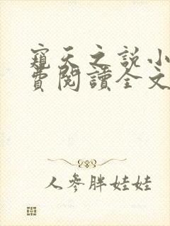 窥天之说小说免费阅读全文