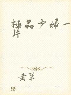 极品少妇一级淫片封面