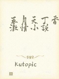 五月天丁香婷婷激情小说