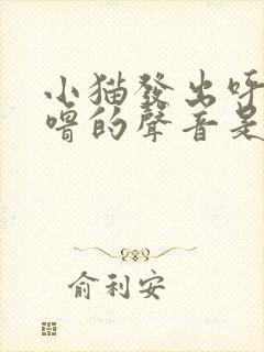 小猫发出呼噜呼噜的声音是什么封面