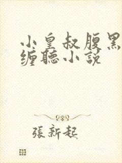 小皇叔腹黑又难缠听小说封面