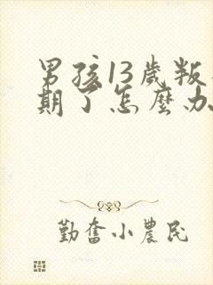 男孩13岁叛逆期了怎么办